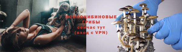 гидропоника Нефтегорск