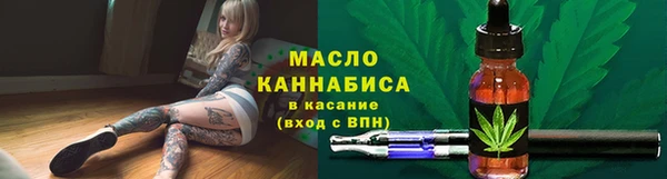 дмт Новозыбков
