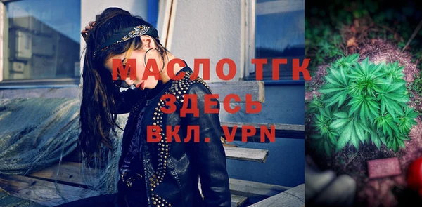 дмт Новозыбков