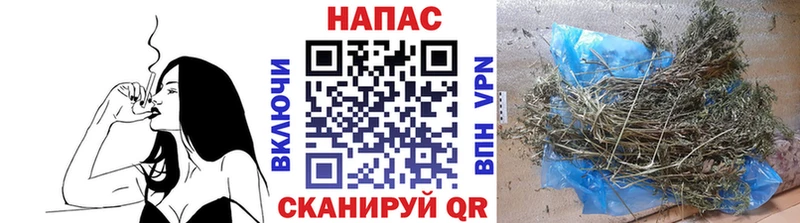 площадка телеграм  Покачи  Бошки Шишки Amnesia 
